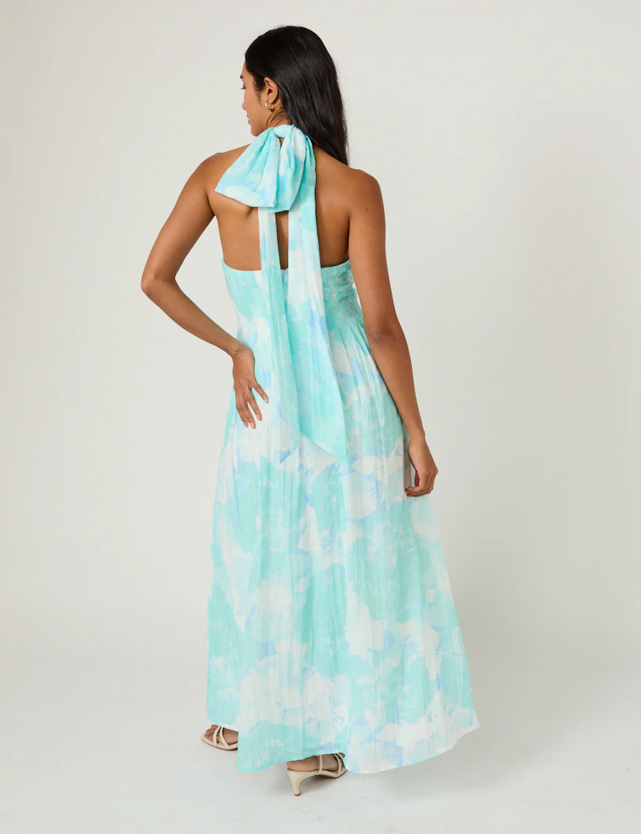 Blue Printed Marceline Maxi Dress - Image 4